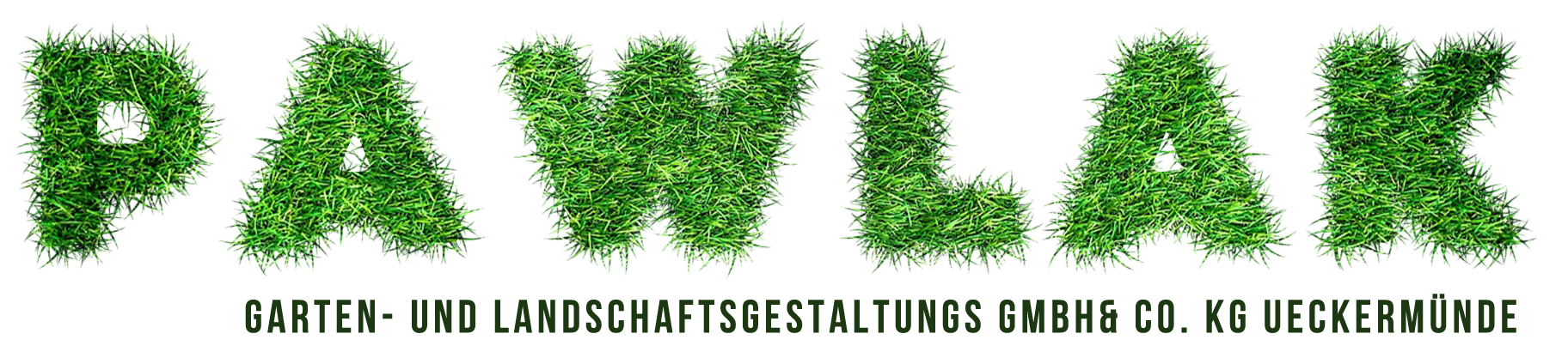 logo_2
